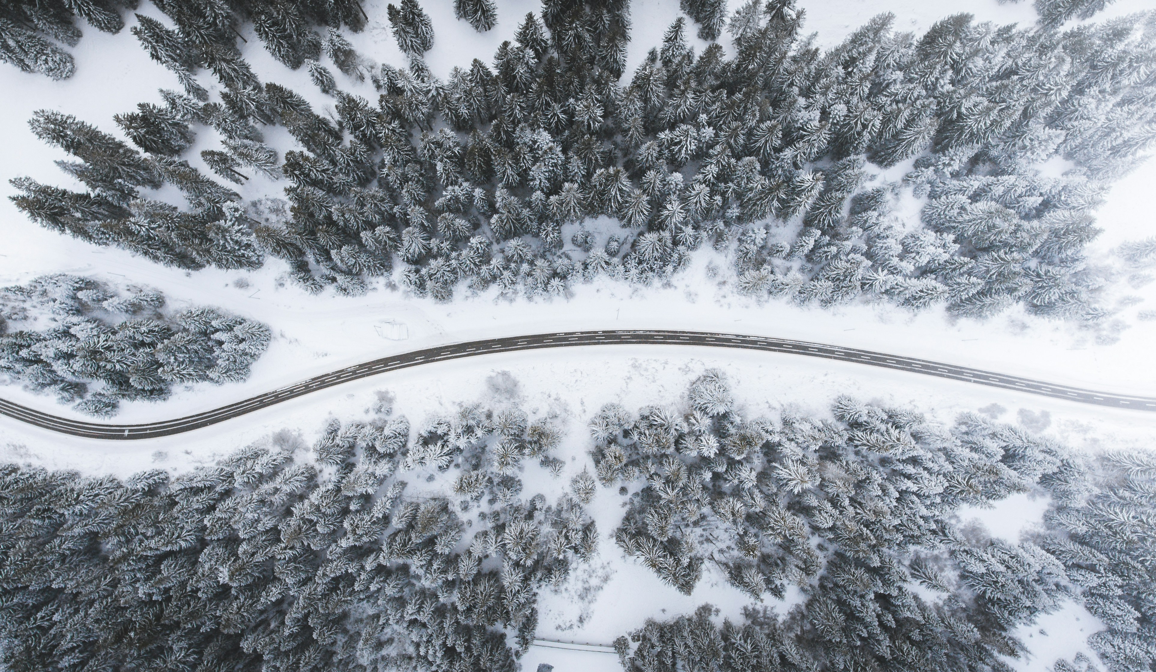 Route hivernale en Laponie